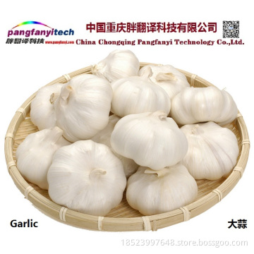 Natural Nutritional Healthy Tasty Self-planted  Garlic